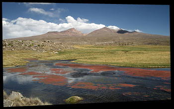 Parque Nacional Lauca