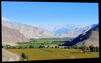 Valle de Copiapo