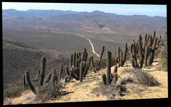 Parque Nacional Fray Jorge