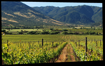 Valle de Colchagua
