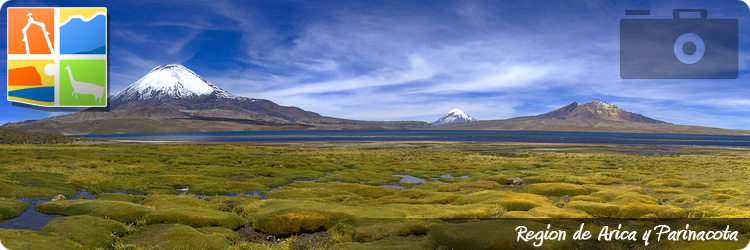 Pesca en Chile, Fly Fishing